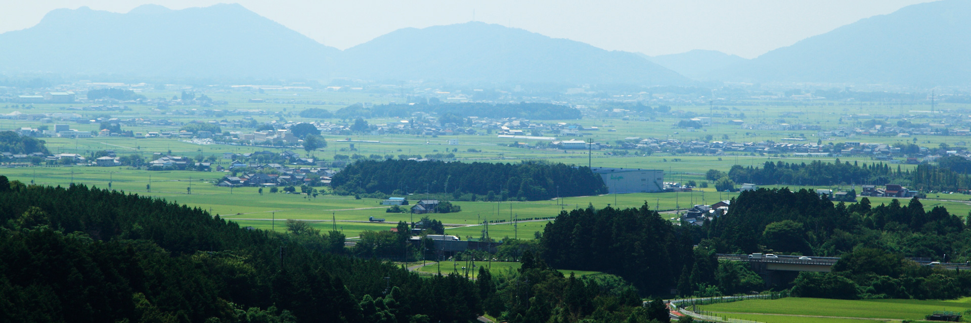 echigun_01 echigun_01