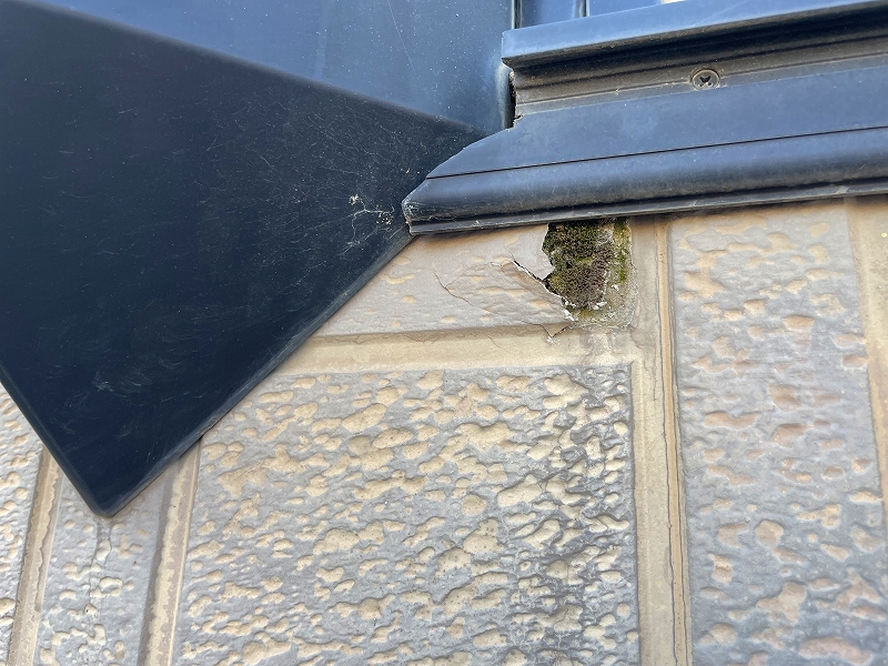 ベランダの外壁の苔やはがれ