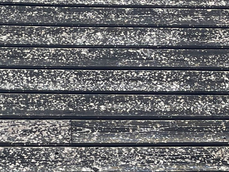 直接雹が当たって損傷した外壁