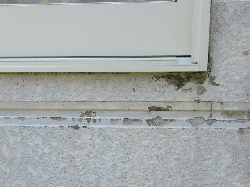 サッシ廻りはがれ苔