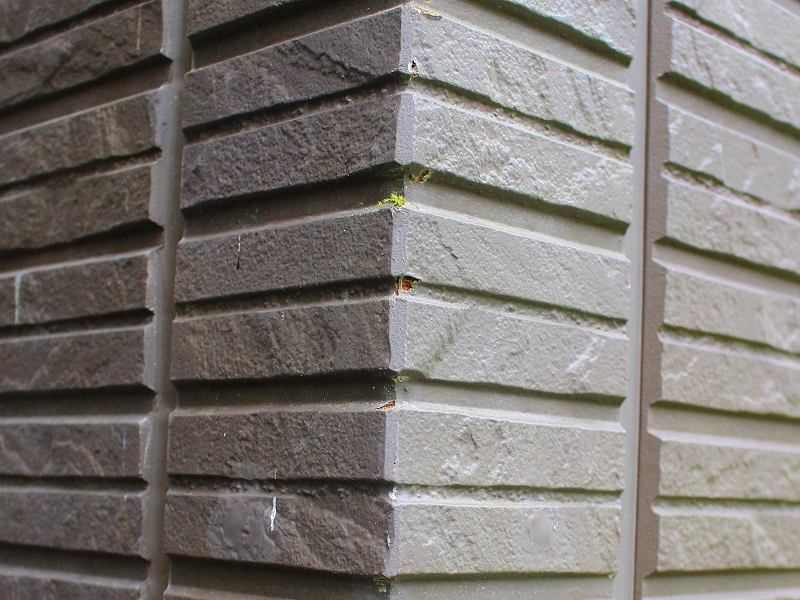 ベランダの出隅がはがれて苔が生えている