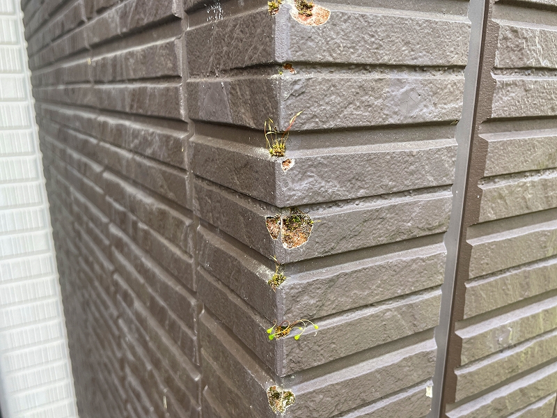 外壁の出隅が欠けた様子