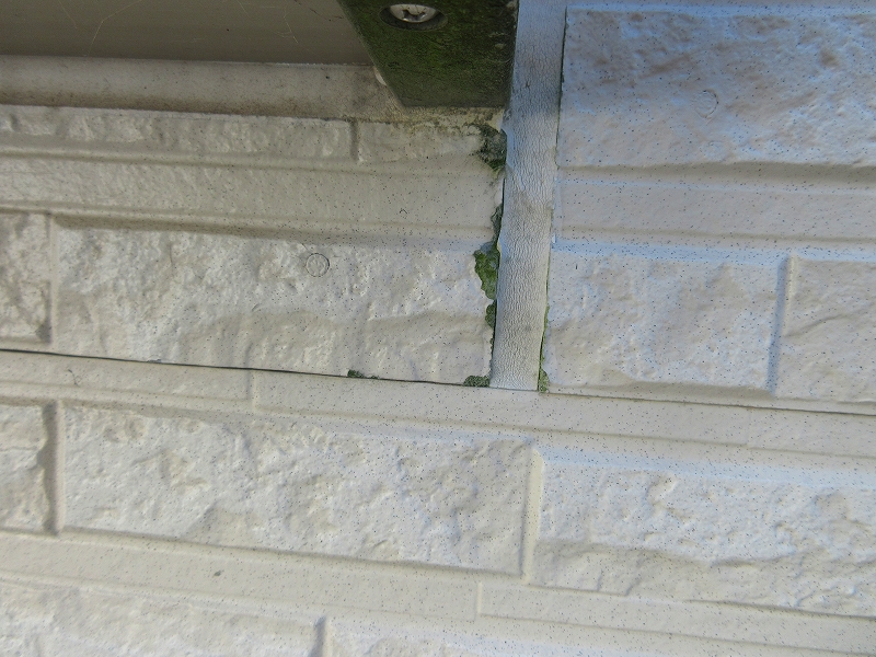 外壁のはがれ苔カビの発生