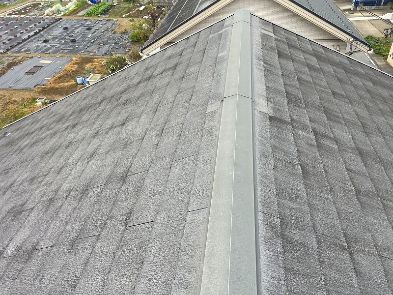 hikone_Tsama_roof_painting_before